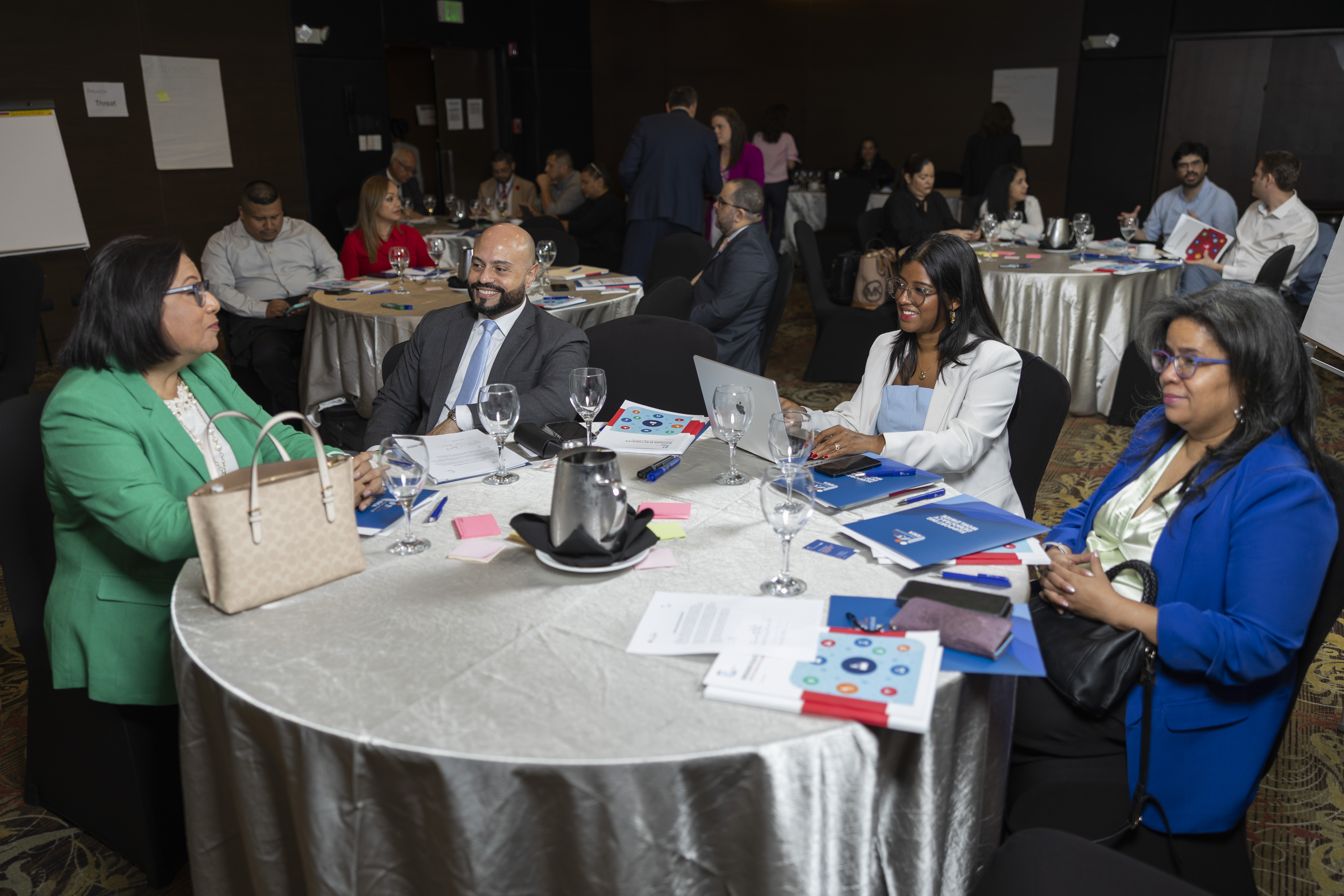 Protecting Elections Capacity Development Workshop in Panama City, Panama, 29-30 April 2025.