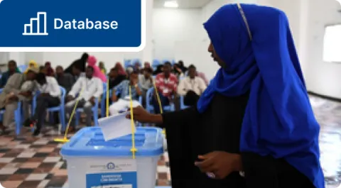 Voter Turnout Database